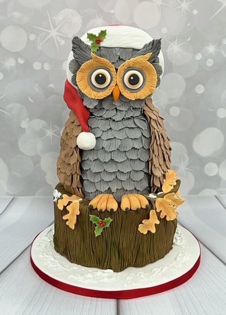 December Saturday Carved Owl Cake